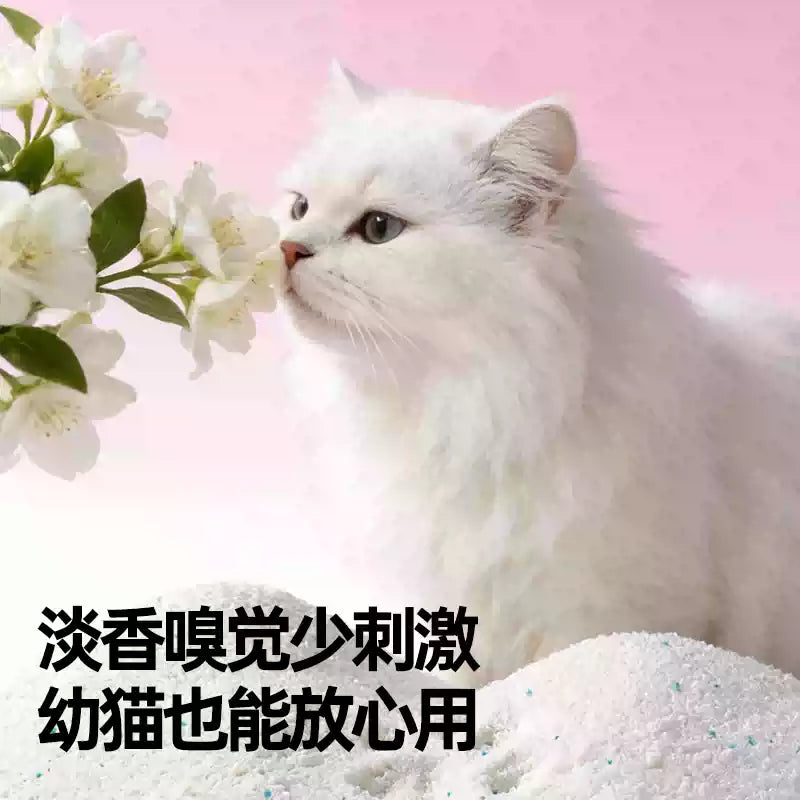 朗仕纯木薯猫砂囤货装月光初雪除臭混合结团植物近无尘防臭不粘底