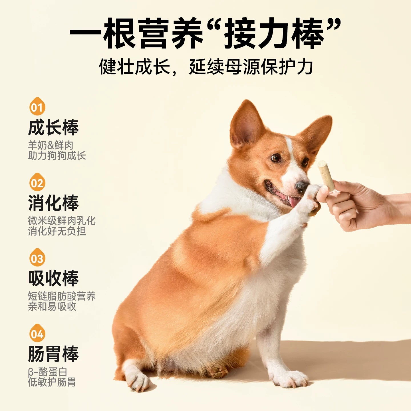 麦富迪狗零食冻干羊奶棒奶酪棒小型犬幼犬磨牙棒训练奖励宠物零食