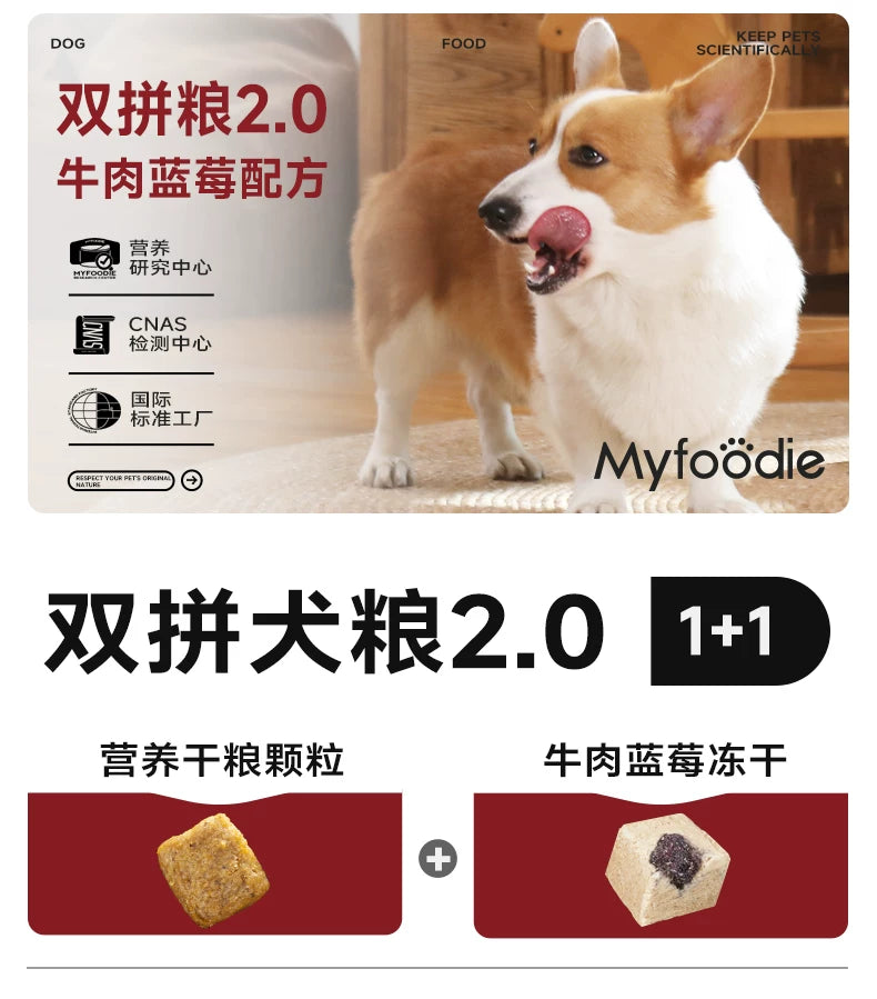 麦富迪狗粮牛肉蓝莓双拼泰迪金毛成犬幼犬粮小型犬官方旗舰店正品