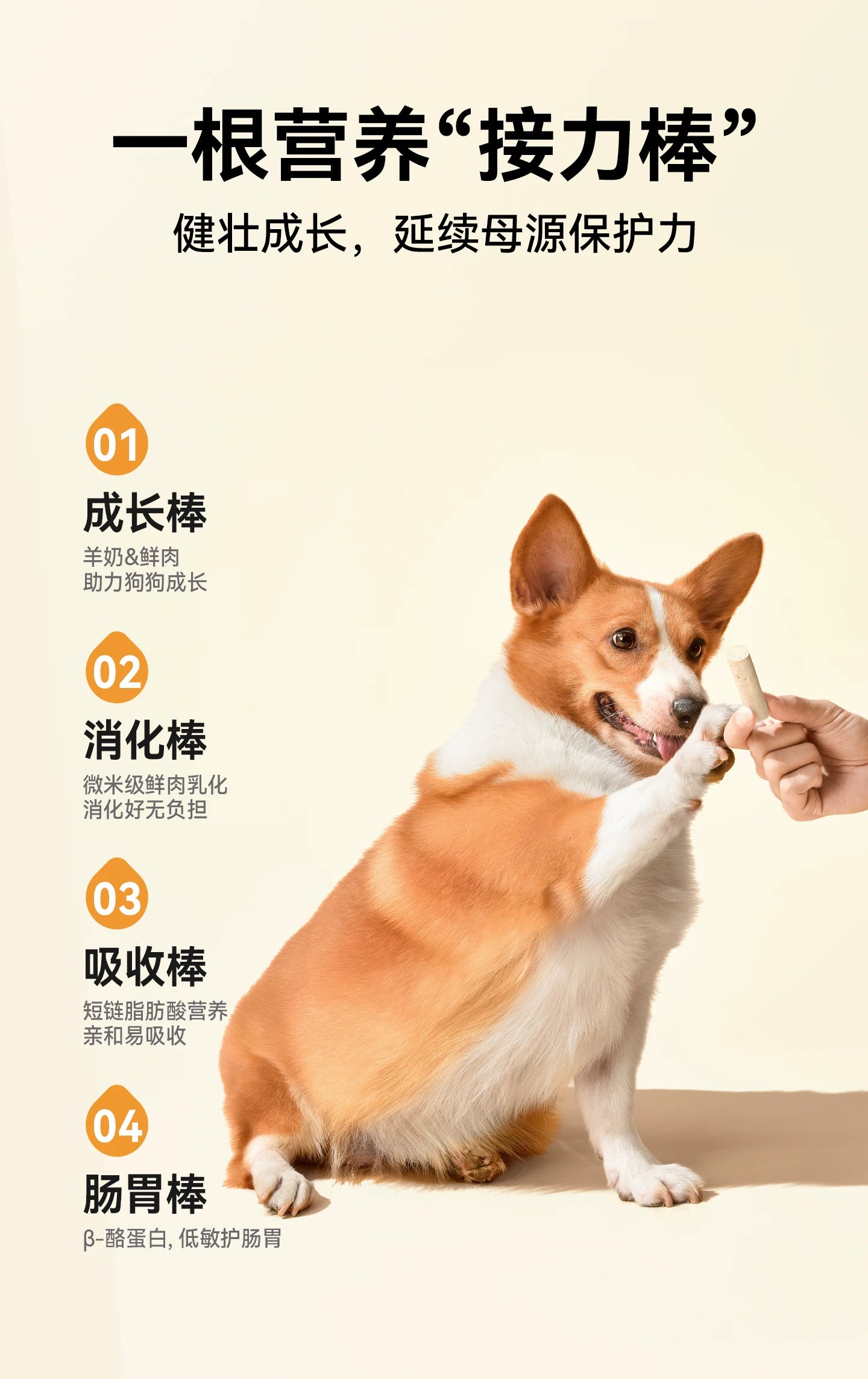 麦富迪狗零食冻干羊奶棒奶酪棒小型犬幼犬磨牙棒训练奖励宠物零食