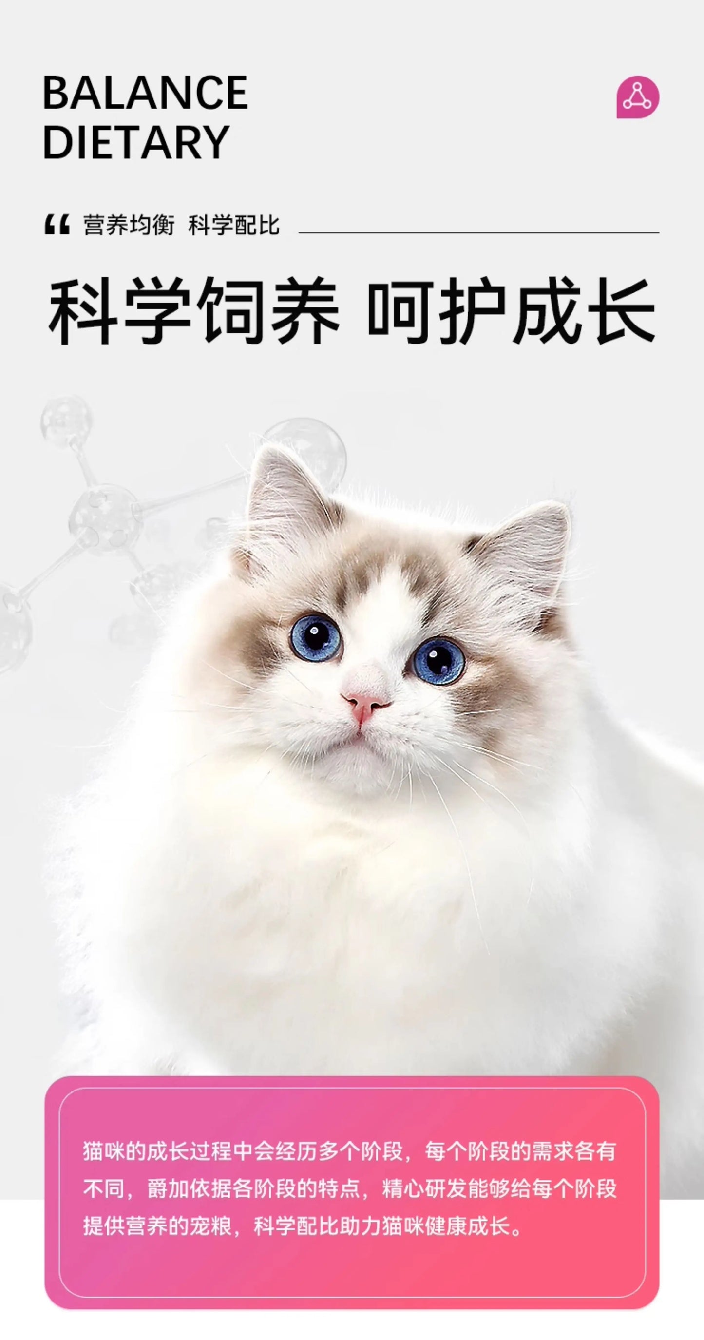 爵加猫粮10kg全价成猫幼猫专用布偶美短英短蓝猫实惠20斤装旗舰店