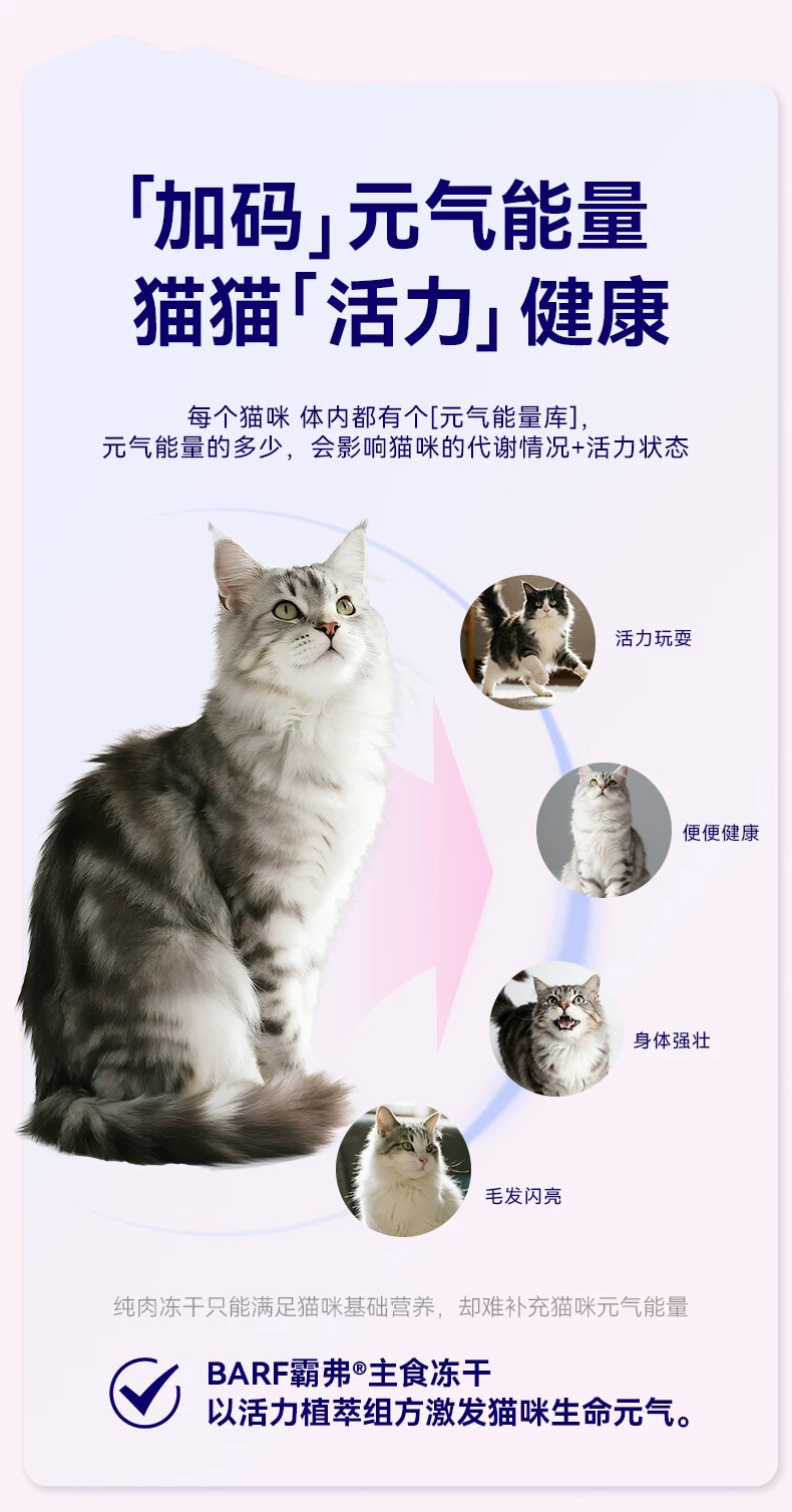 麦富迪barf霸弗全价生骨肉主食冻干猫粮鲜鸡肉牛肉味囤货装500g*2