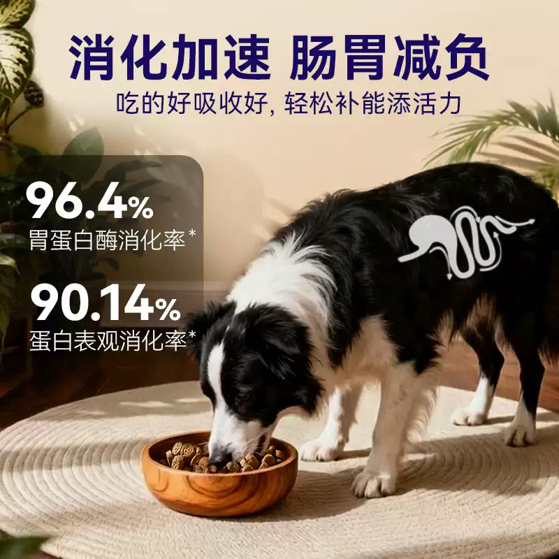 麦富迪barf霸弗低温烘焙鲜肉狗粮泰迪博美比熊鸡肉全期粮