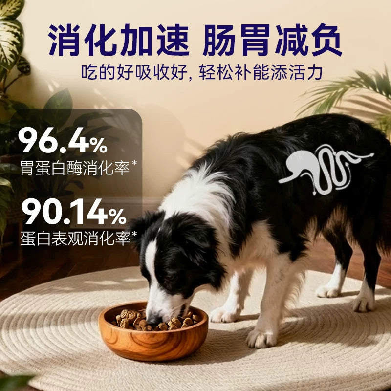 麦富迪barf霸弗低温烘焙鲜肉狗粮泰迪博美比熊鸡肉全期粮