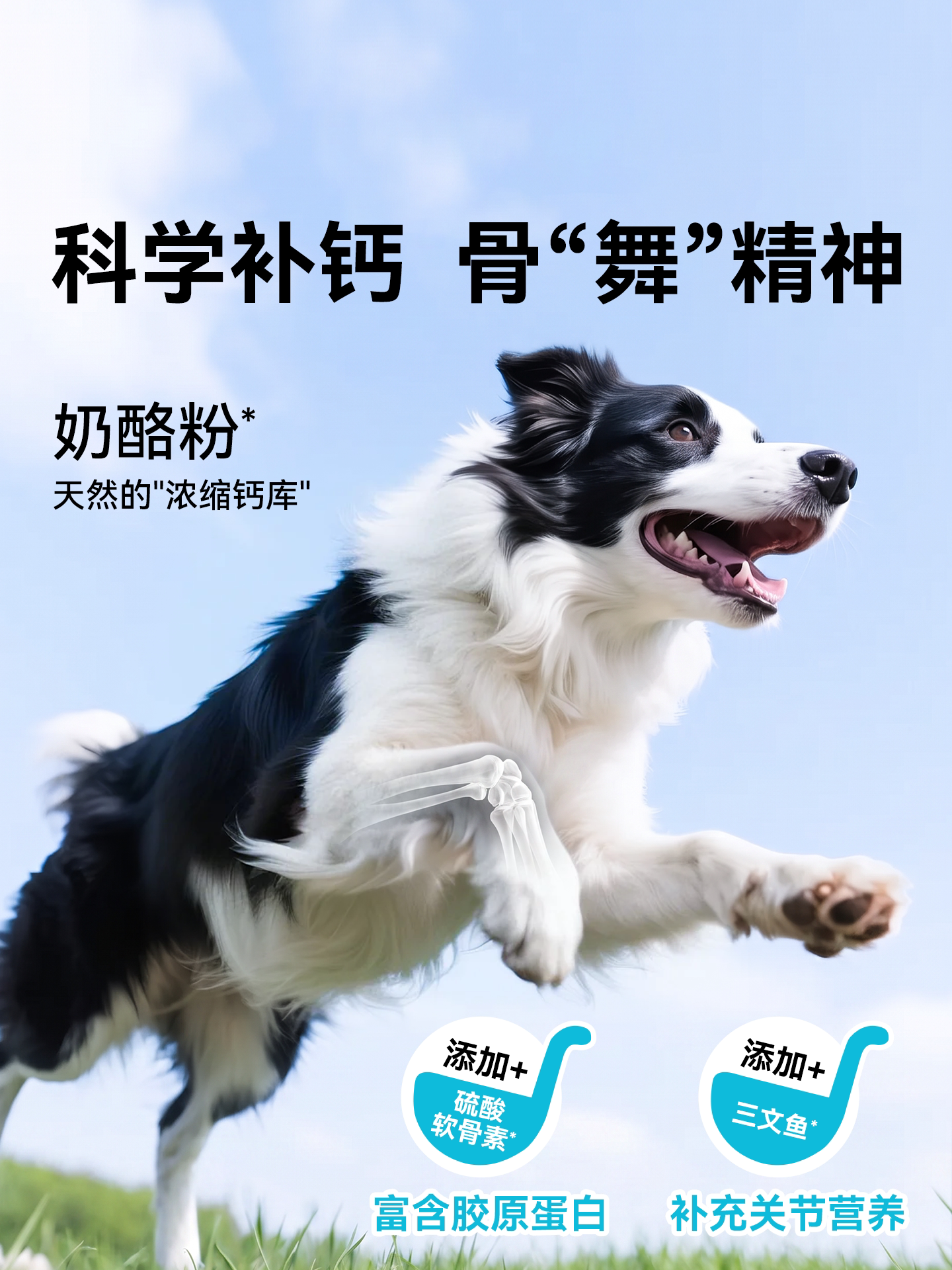 朗仕泰迪狗粮成犬专用小型犬5kg10斤博美比熊贵宾法斗美毛鲜肉粮
