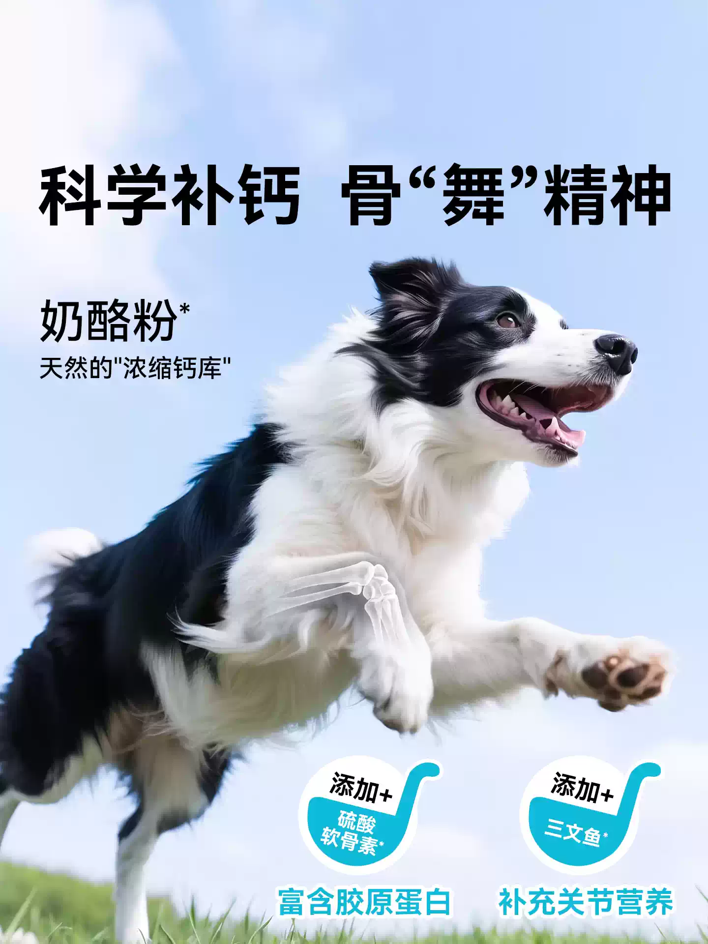 朗仕泰迪狗粮成犬专用小型犬5kg10斤博美比熊贵宾法斗美毛鲜肉粮