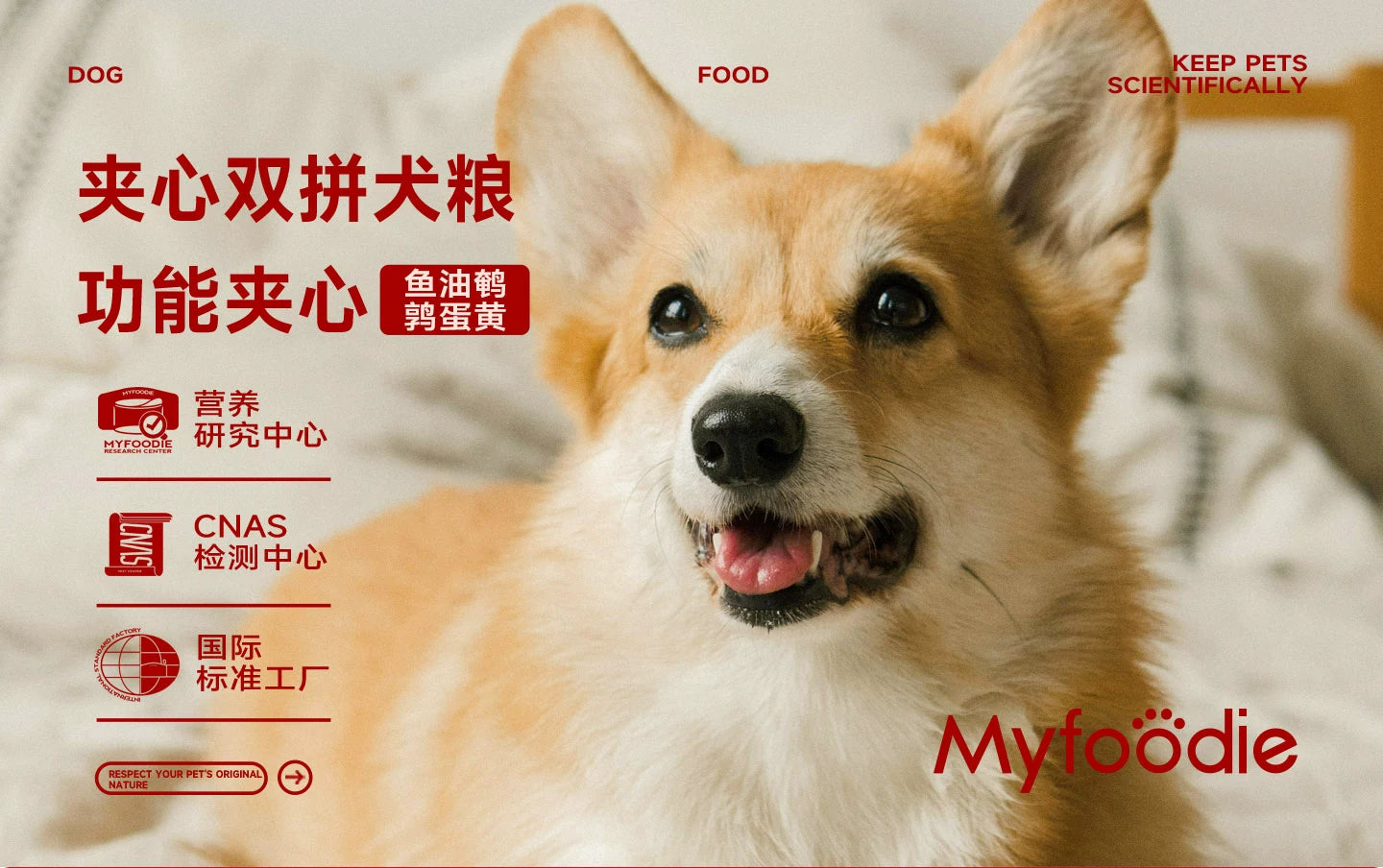 麦富迪狗粮全价鲜肉夹心泰迪小型幼犬成犬通用型全期双拼狗粮2kg