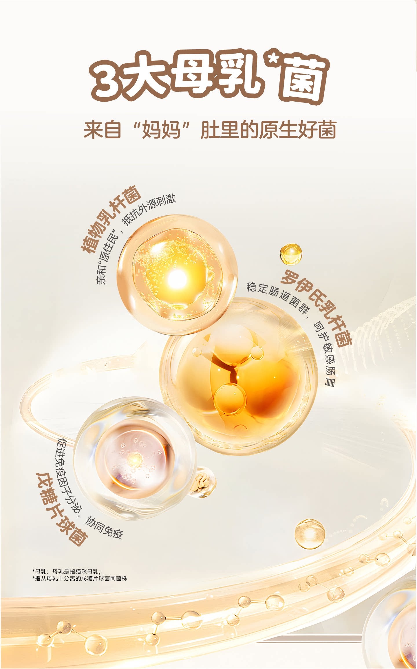 【新品】麦富迪奶弗奶萃布丁主食罐猫零食全价成幼猫咪罐头湿粮