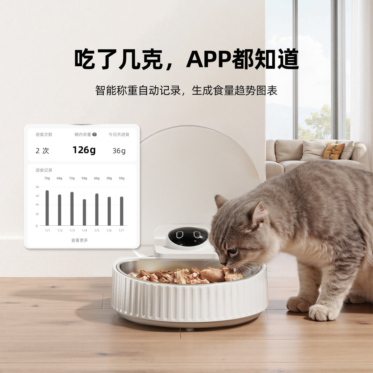 自动猫粮喂食器猫碗实时称重无线感应自动防尘保鲜智能猫咪喂食器