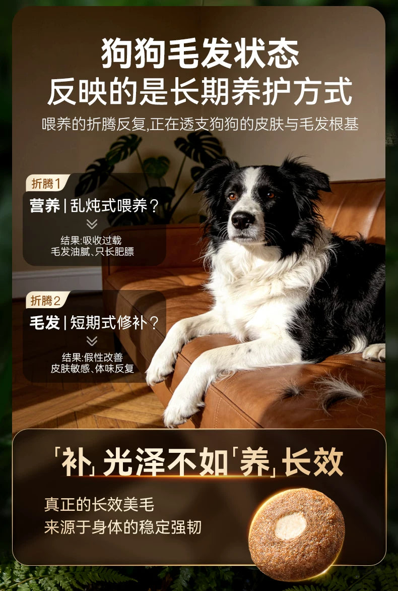麦富迪狗粮barf霸弗闪亮滋养泰迪比熊柯基通用小型犬成犬幼犬粮