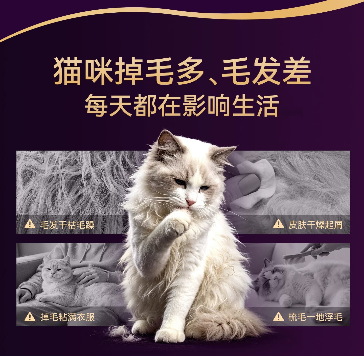 【新品首发】麦富迪舒然鱼油深海鱼油猫咪狗狗犬美毛宠物专用