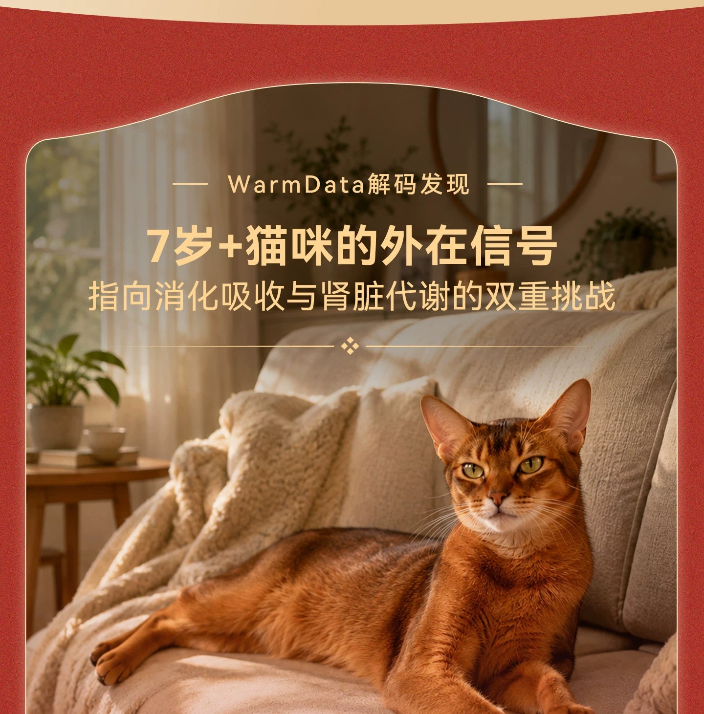 【新品】麦富迪猫粮7岁以上老年猫咪专用原生鲜鸡肉低磷猫粮1.5kg