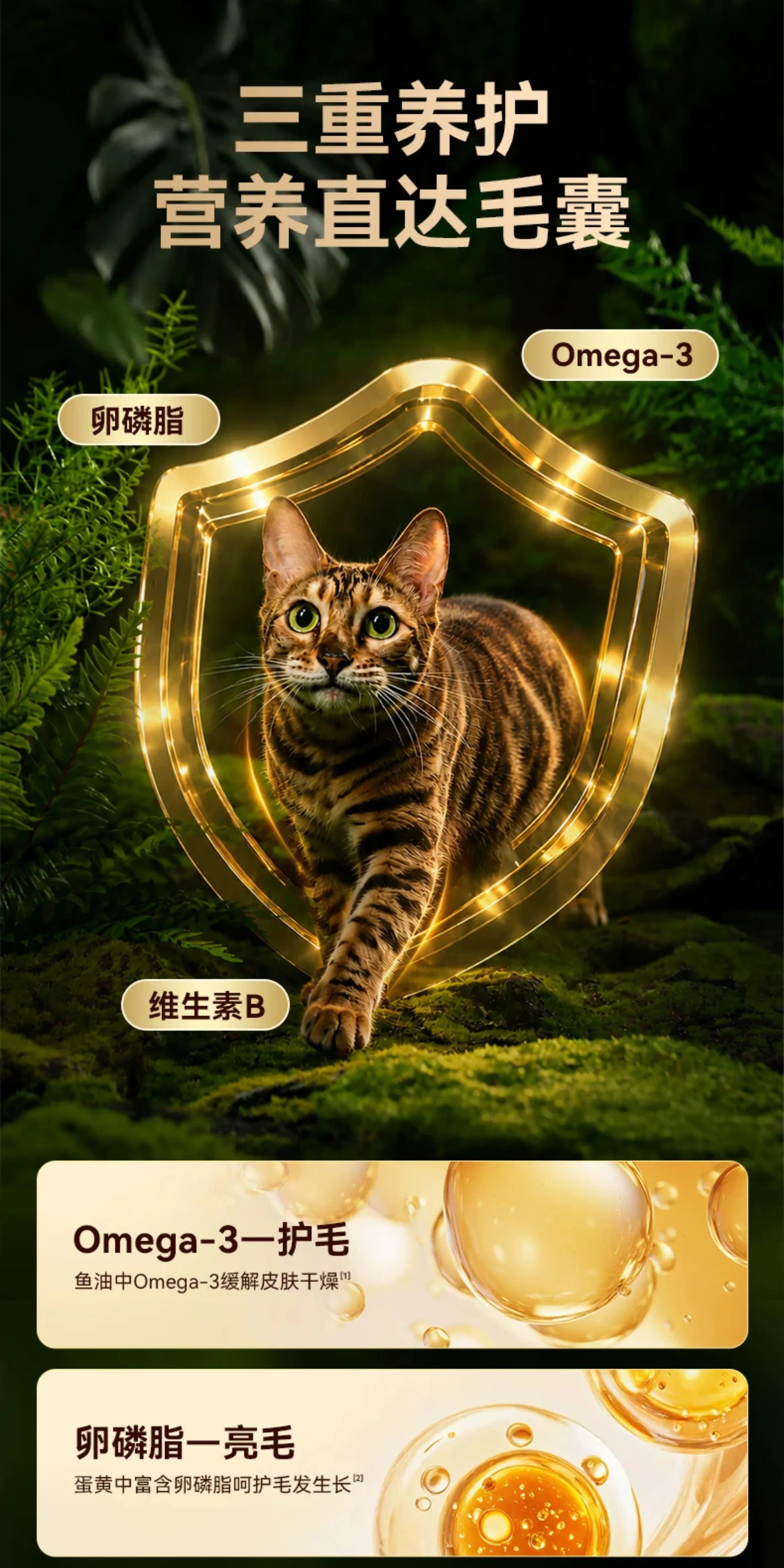 朗仕低温烘焙猫粮成幼猫粮试吃鲜肉烘培冻干布偶猫咪专用全价无谷