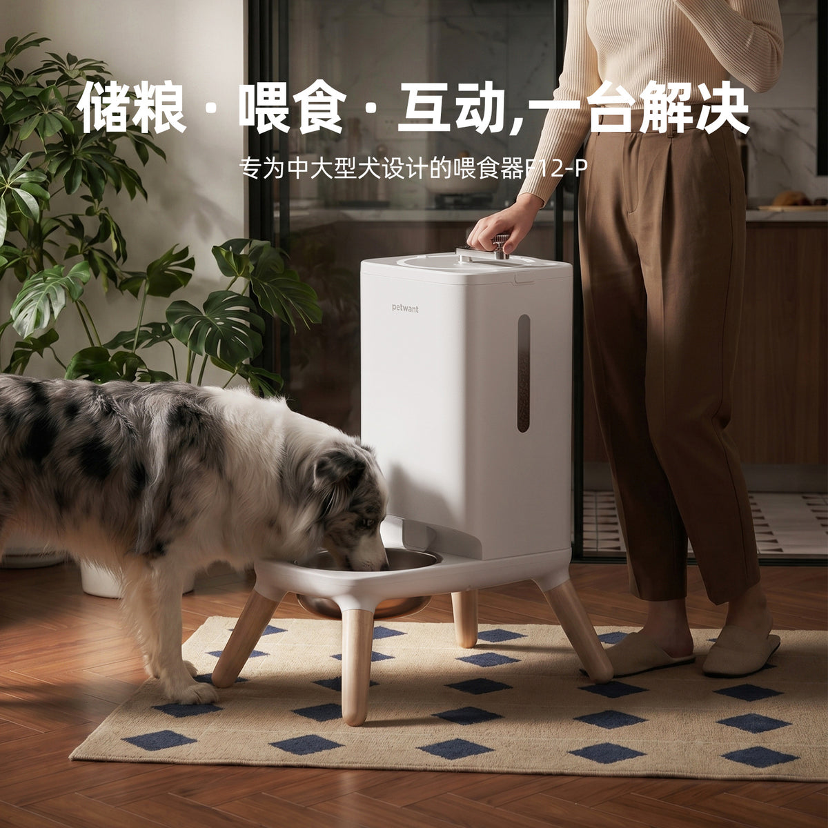 中大型犬喂食器22L大容量狗狗喂食器自动出粮宠物干粮冻干粮喂食
