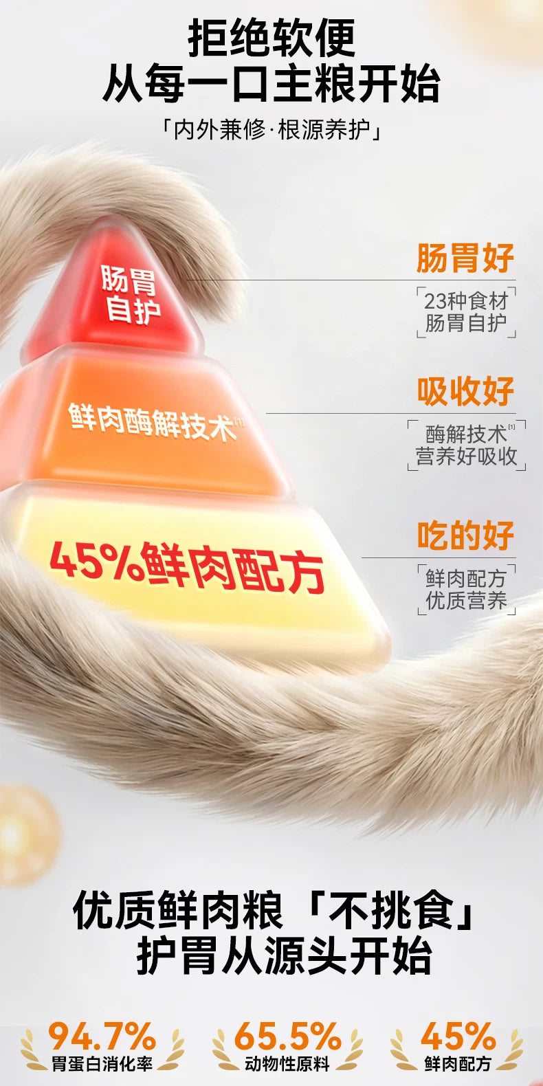 朗仕猫粮成猫幼猫粮布偶专用营养鲜肉进口鱼油10公斤全价官方正品