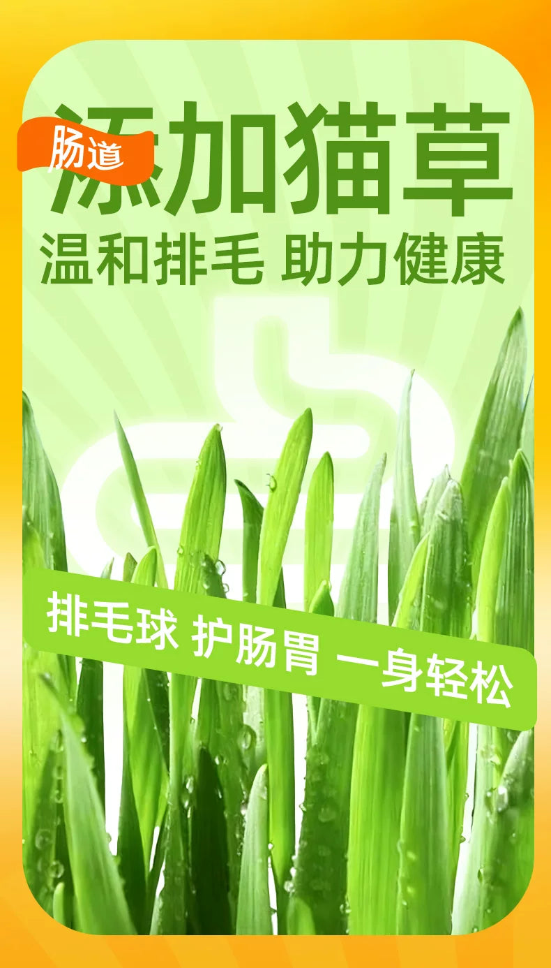 朗仕猫条猫零食幼猫营养猫咪肉泥牛磺酸补水猫罐头湿粮罐头100支