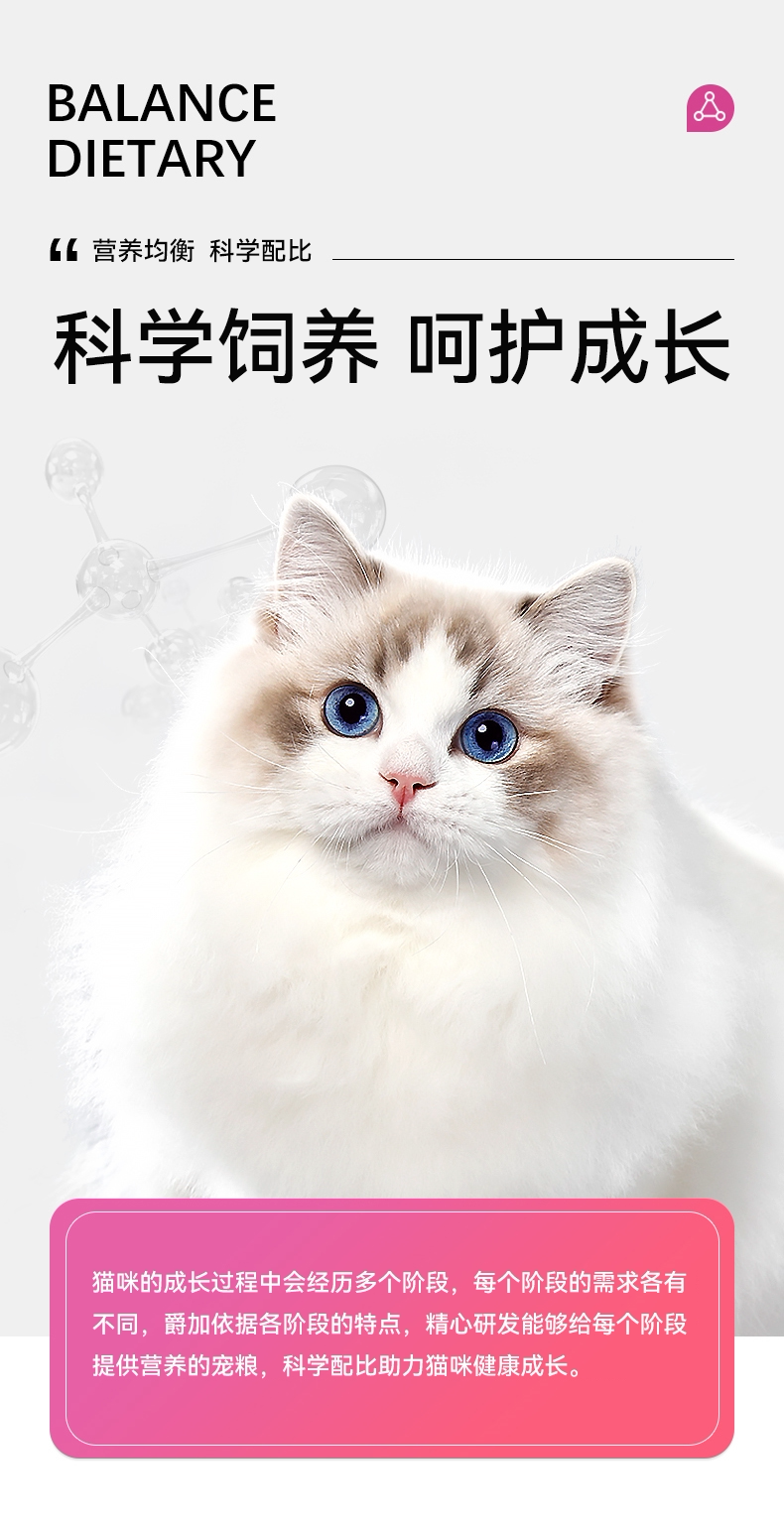 爵加全价猫粮10kg布偶暹罗蓝猫专用猫粮幼猫成猫流浪猫通用20斤装