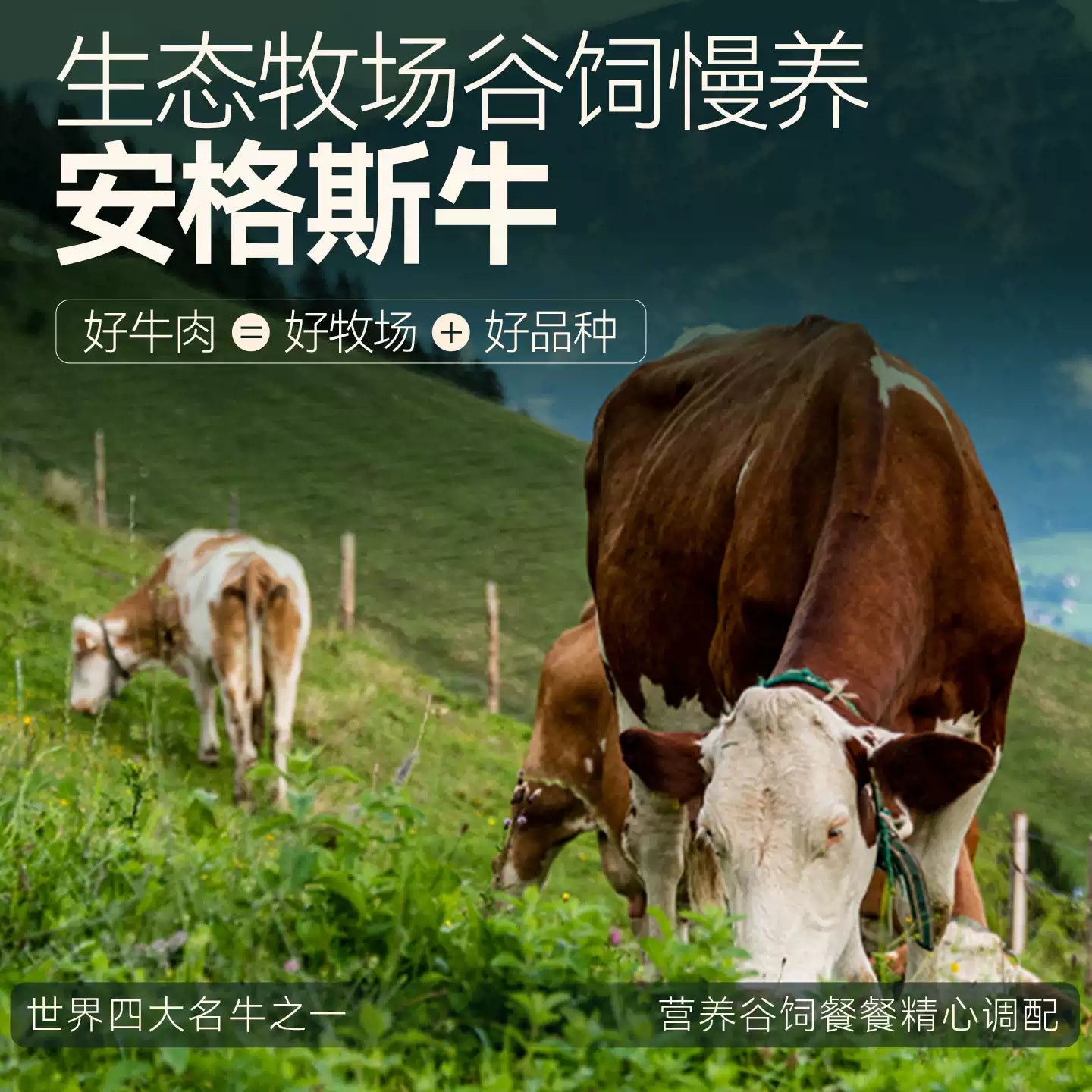 麦富迪狗狗零食鲜肉薄脆牛肉磨牙棒比熊泰迪小型犬牛肉干宠物零食