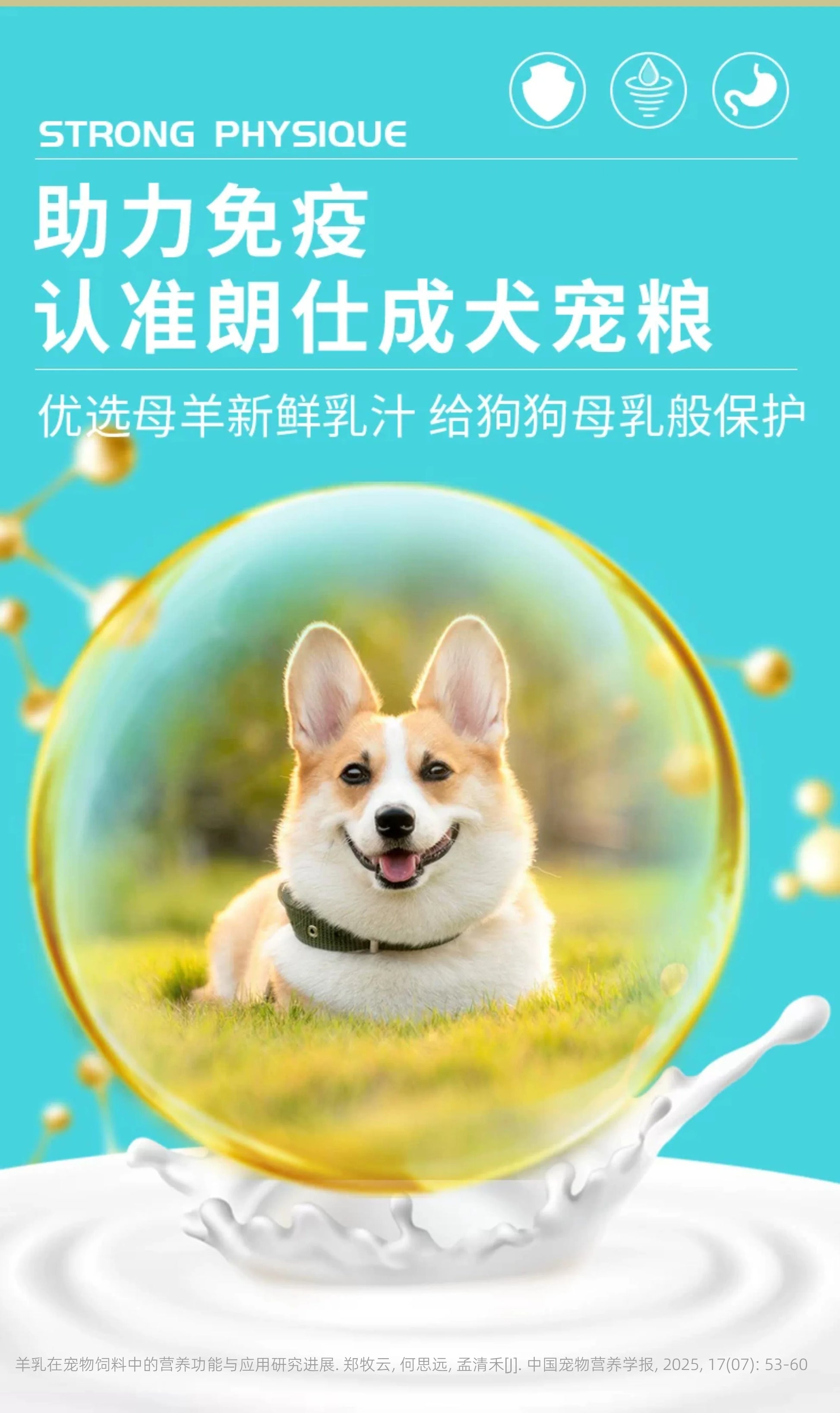朗仕狗粮1.5kg双重靓毛小型犬成犬专用粮泰迪博美贵宾柯基犬粮
