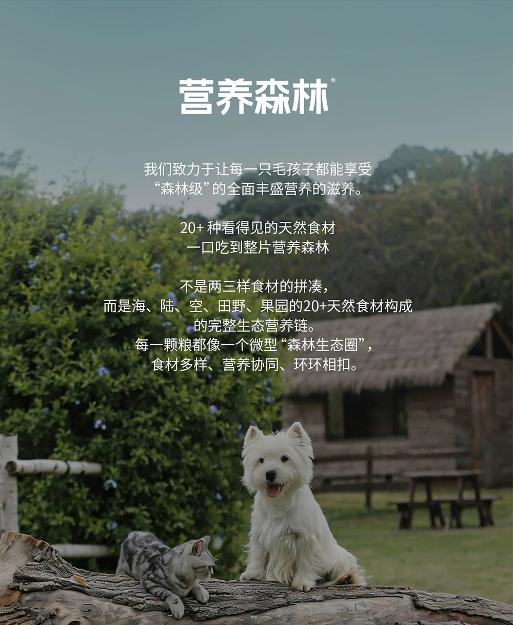 麦富迪营养森林猫粮成猫幼猫三文鱼鲜鸡肉冻干通用正品猫粮2kg