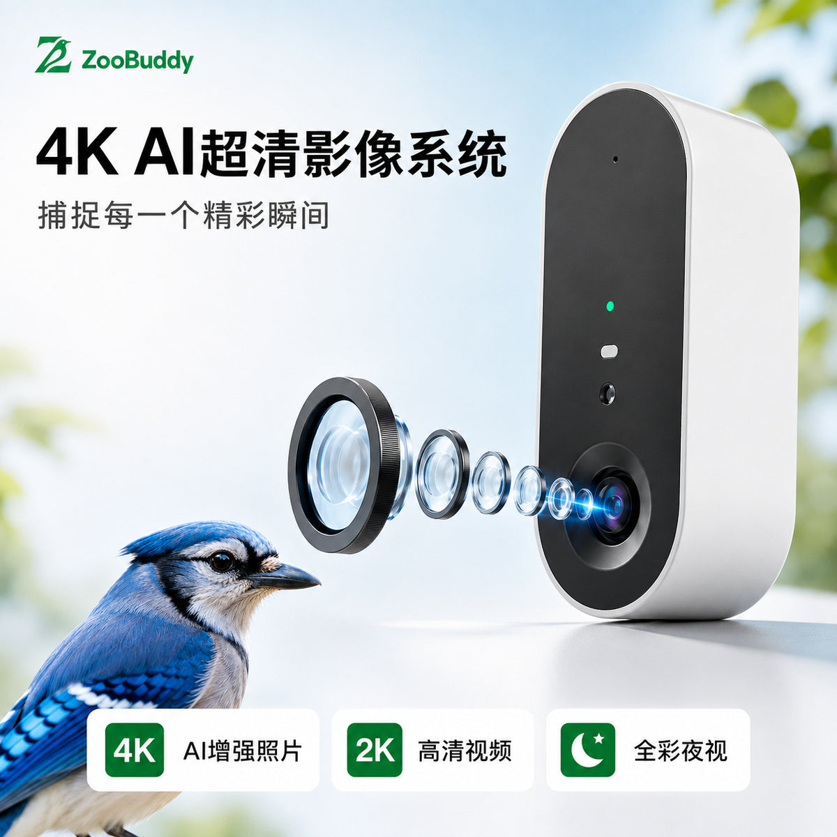 智能喂鸟器4K超清摄像头超低功耗手机远程免插电室外摄像头监控器