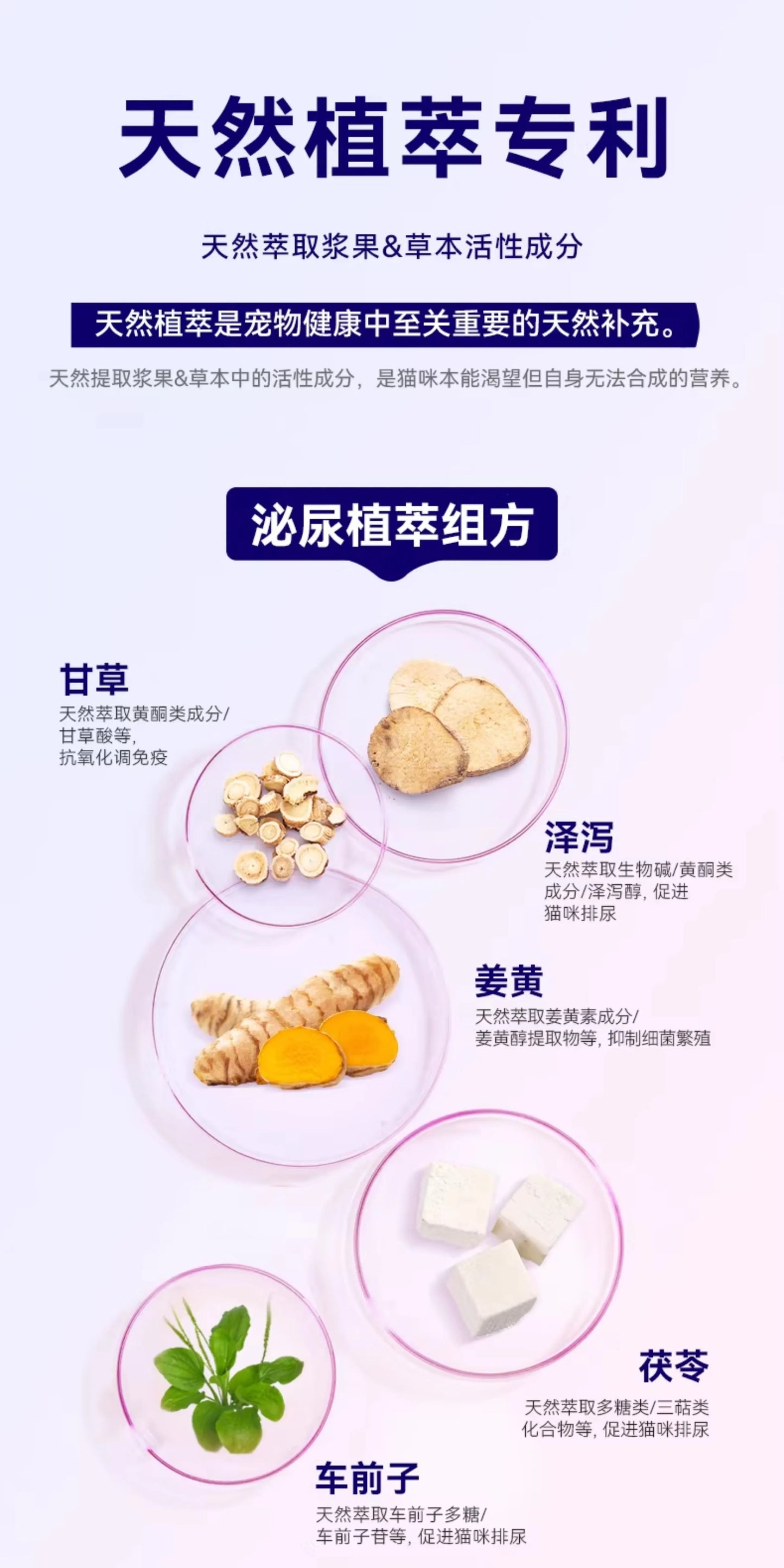 麦富迪barf霸弗全价生骨肉主食餐盒双餐杯小鸟胃成幼猫咪主食罐头