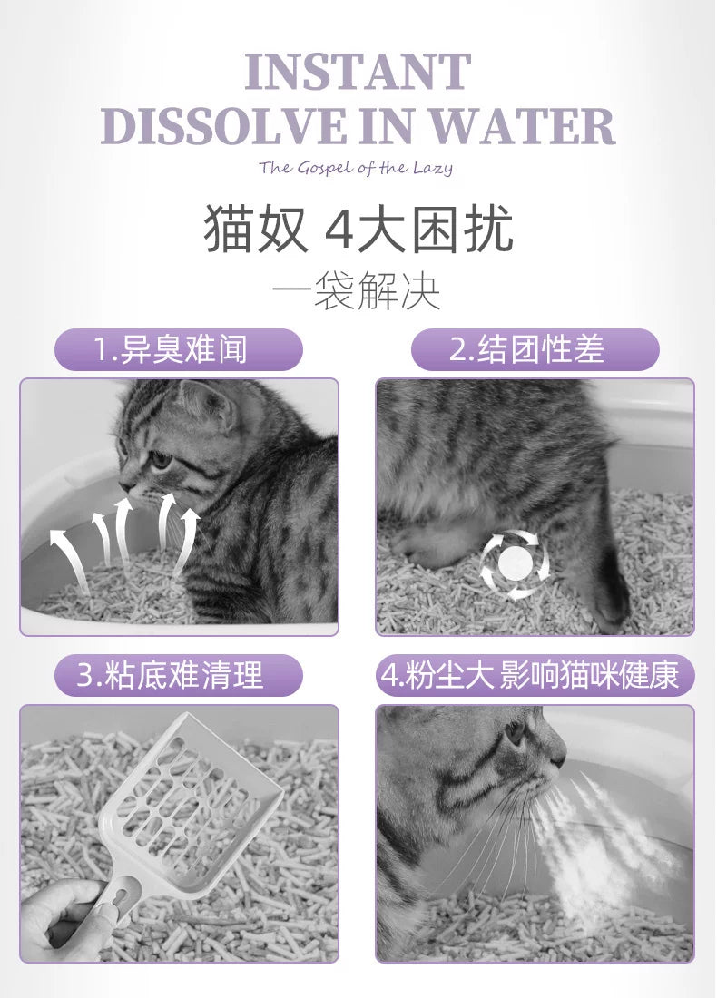 朗仕豆腐猫砂包邮10除臭低尘幼猫原味活性炭可冲马桶公斤猫沙除臭
