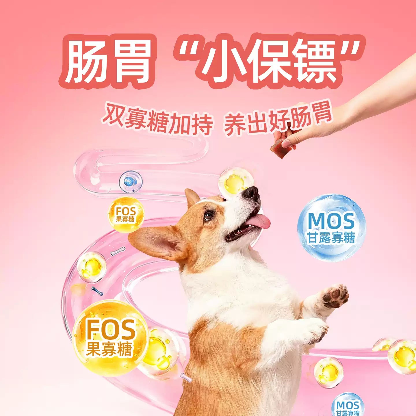 朗仕狗狗零食牛肉粒小中型犬成犬幼犬训犬奖励磨牙棒宠物零食200g