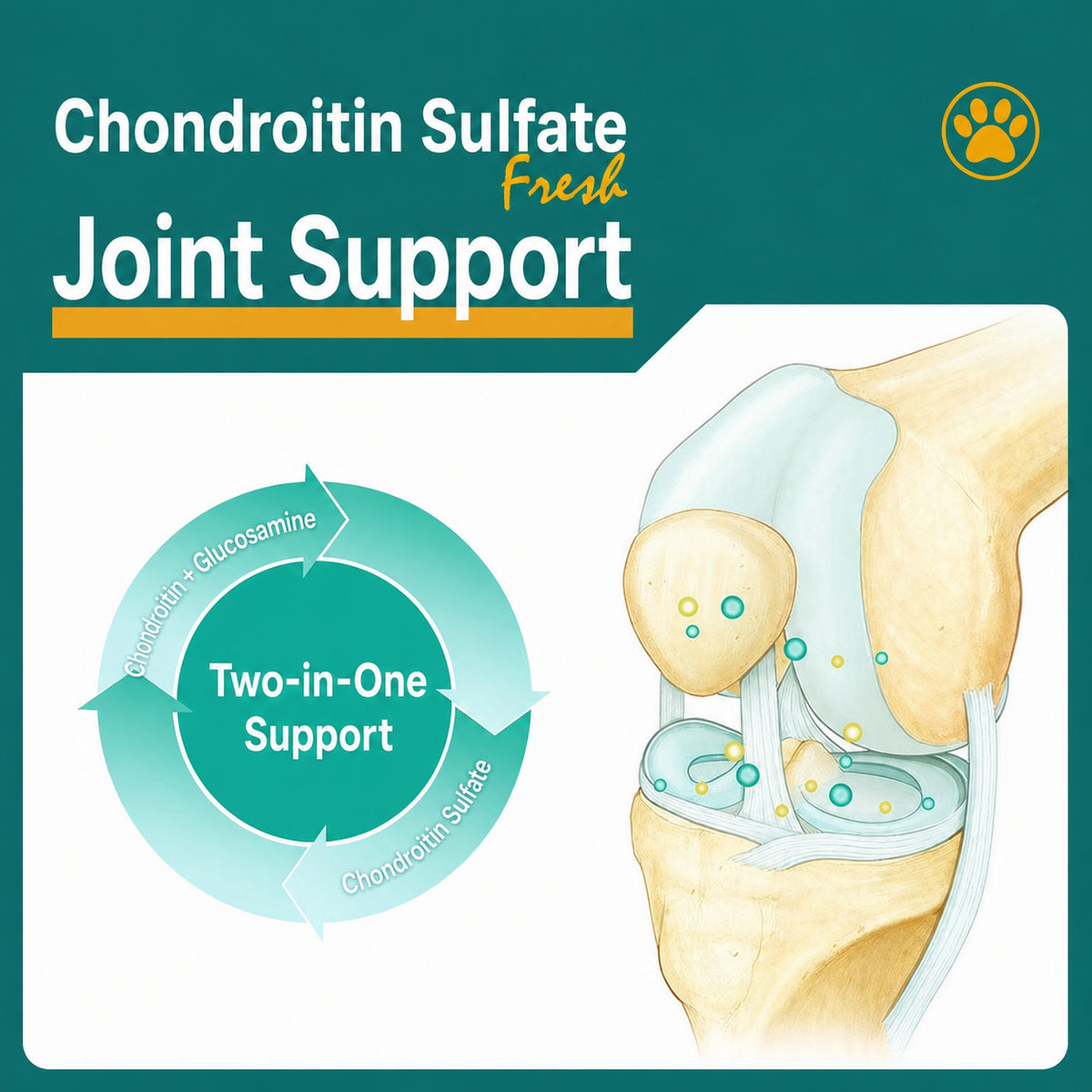 Chondroitin sulfate and glucosamine joint support infographic