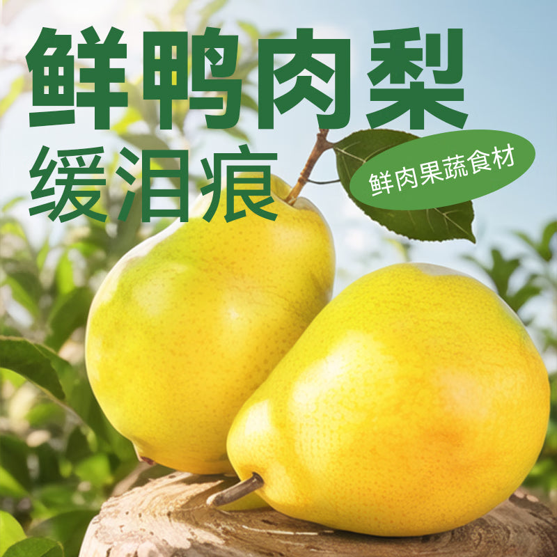 朗仕狗粮冻干鸭肉梨配方金毛中大型犬成犬四拼鲜肉通用狗粮20kg/40斤