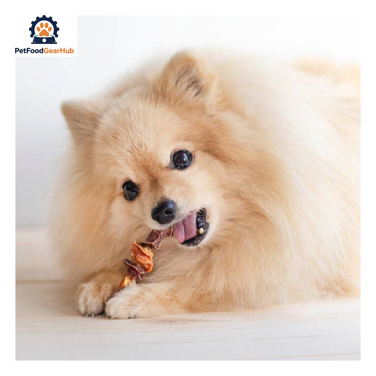 PetFoodGearHub PFGH LSC-156 US chicken, duck and beef tendon skewers wholesale dog treats - triple-protein chicken, duck and beef tendon skewers for dogs, wholesale and OEM available with 300kg MOQ