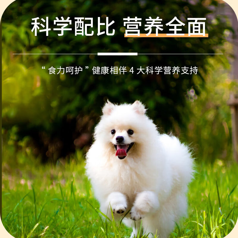 【力狼】星辰系列狗粮幼犬成犬小型犬大型犬泰迪金毛博美比熊通用 2袋【5斤/袋共10斤】