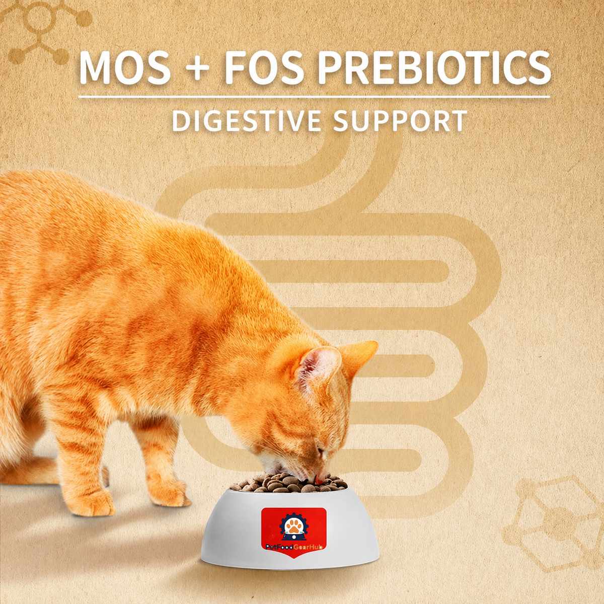 Orange tabby cat eating from a bowl, with English information about MOS and FOS prebiotics and digestive support.