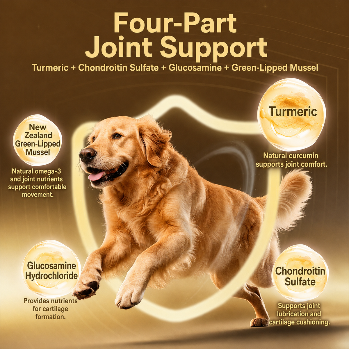 Joint-ingredient diagram showing turmeric, chondroitin, glucosamine, and green-lipped mussel around a central joint.