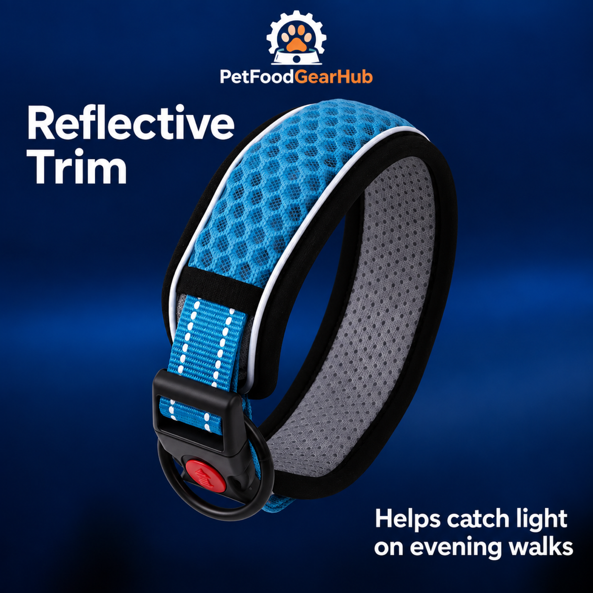 PetFoodGearHub blue padded dog collar with reflective trim
