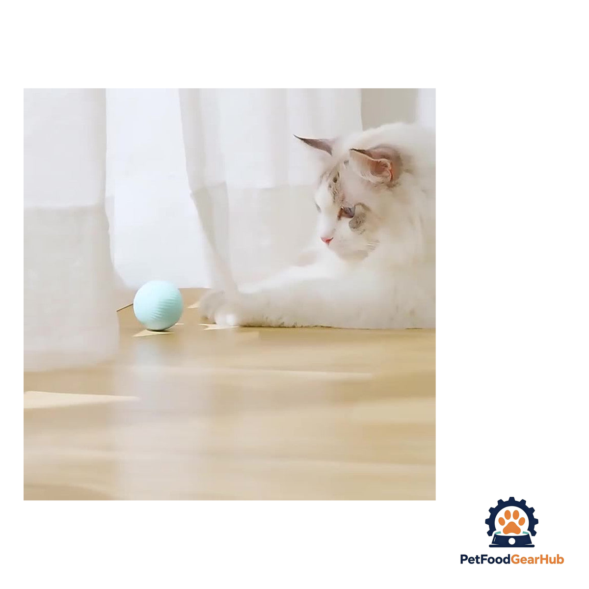 PetFoodGearHub Smart Ball Cat Toy - product image 3