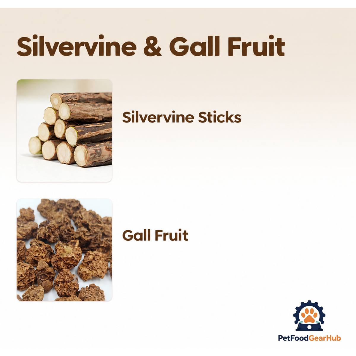 PetFoodGearHub Natural Silvervine Cat Teething Chewing Sticks - product image 7