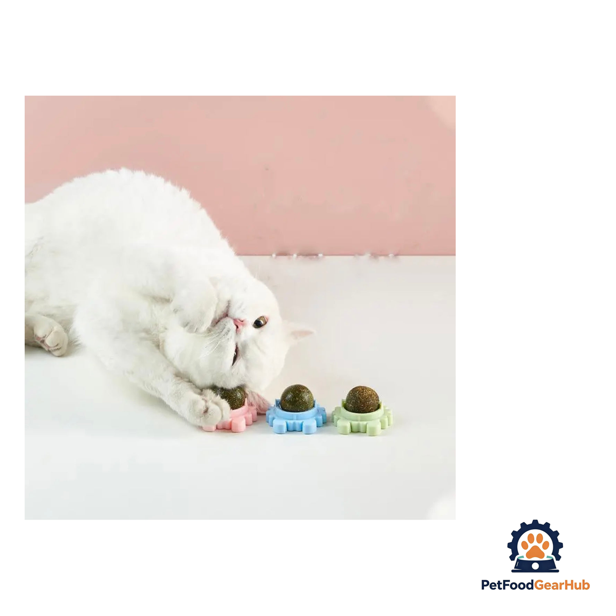 PetFoodGearHub Stick-on Catnip - product image 7