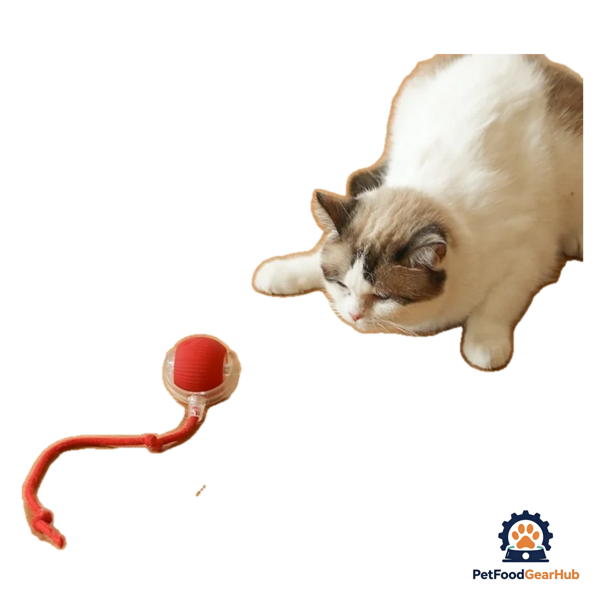 PetFoodGearHub Interactive Cat Ball - product image 1