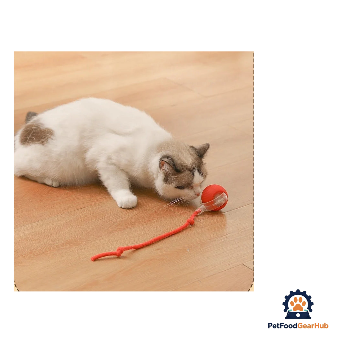 PetFoodGearHub Interactive Cat Ball - product image 2