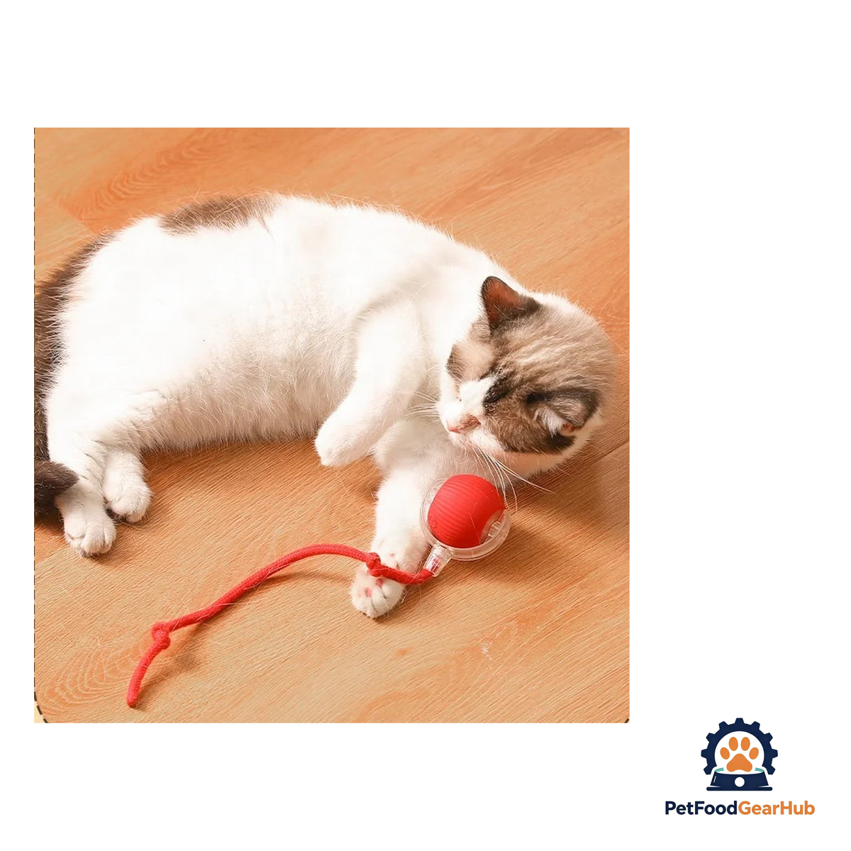 PetFoodGearHub Interactive Cat Ball - product image 5