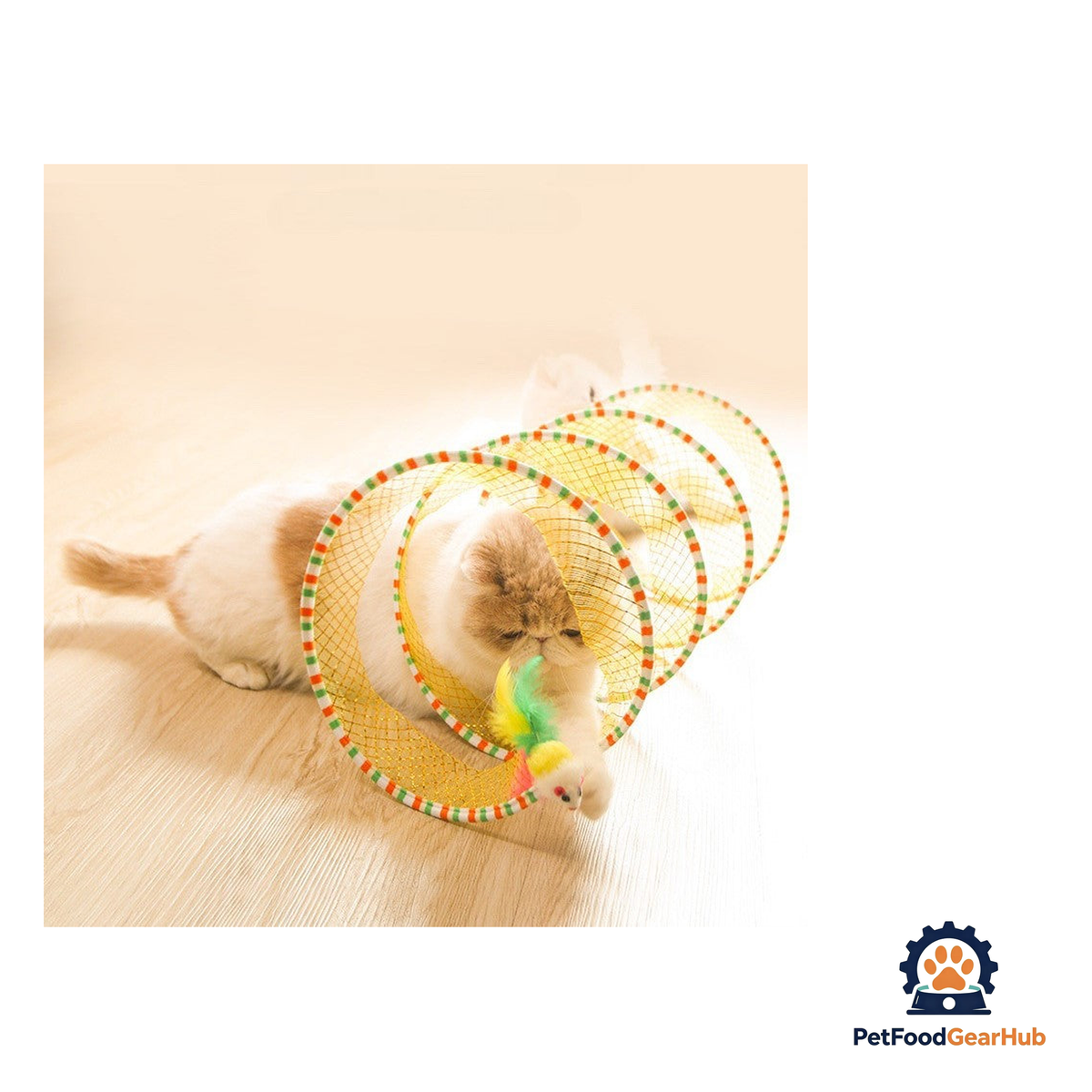 PetFoodGearHub Open Tunnel Cat Toy - product image 2