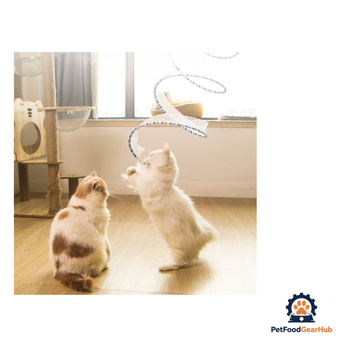 PetFoodGearHub Open Tunnel Cat Toy - product image 4