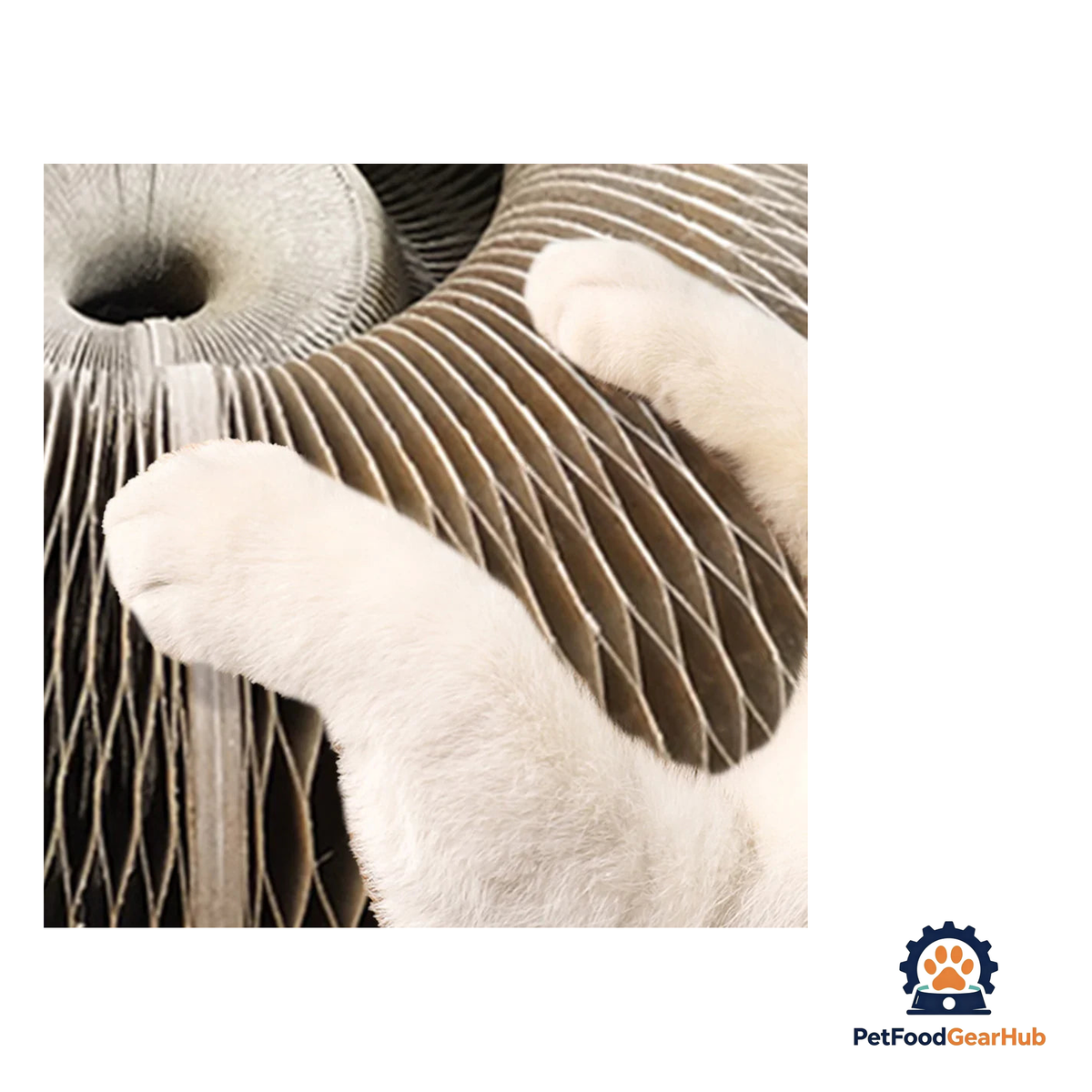 PetFoodGearHub Interactive Cat Toy & Scratching Board - product image 3