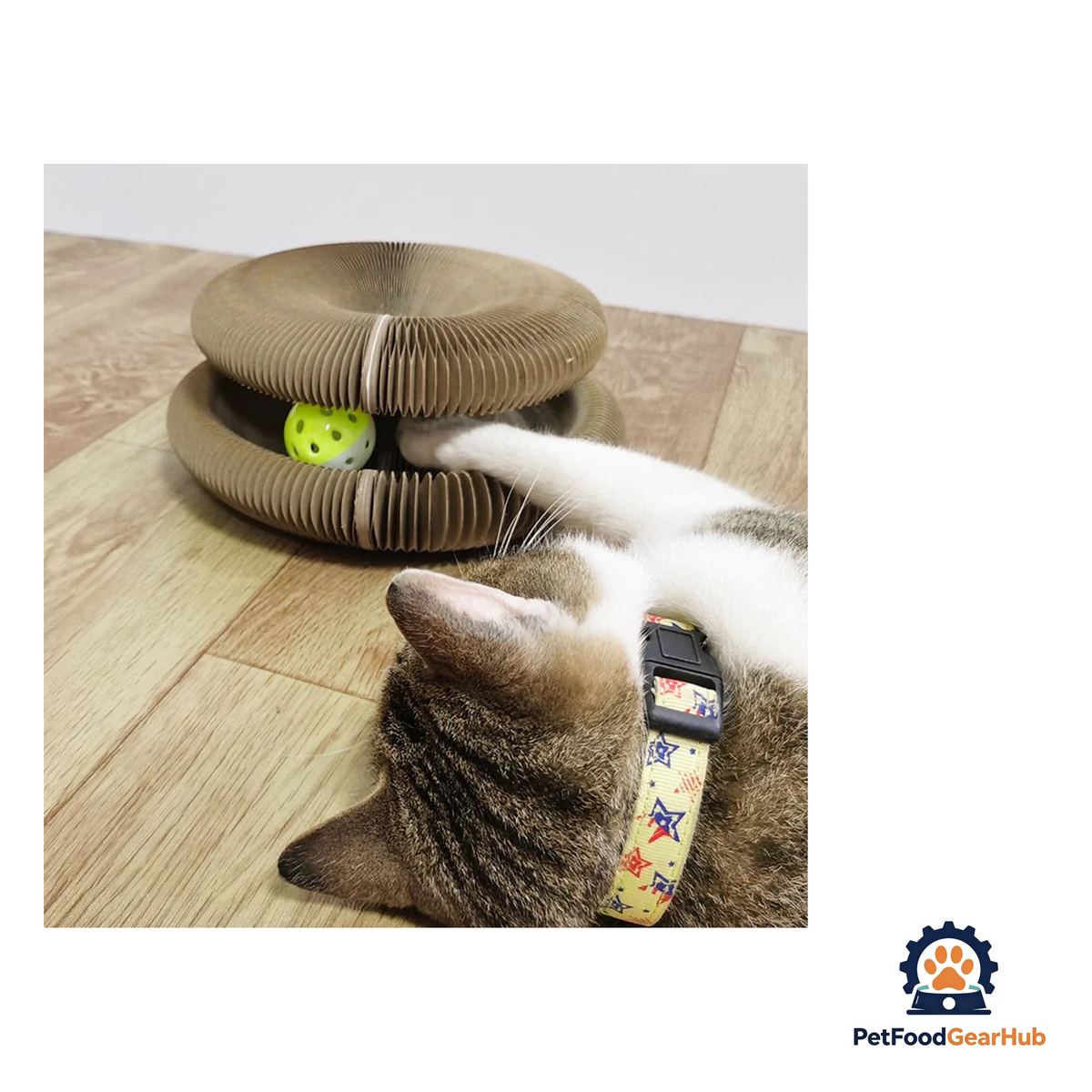PetFoodGearHub Interactive Cat Toy & Scratching Board - product image 4