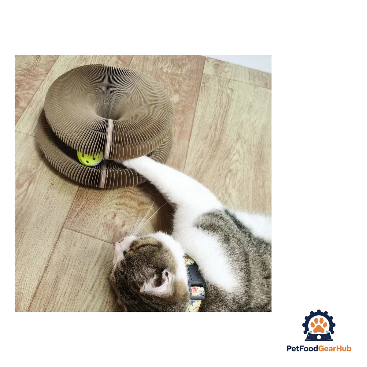 PetFoodGearHub Interactive Cat Toy & Scratching Board - product image 5