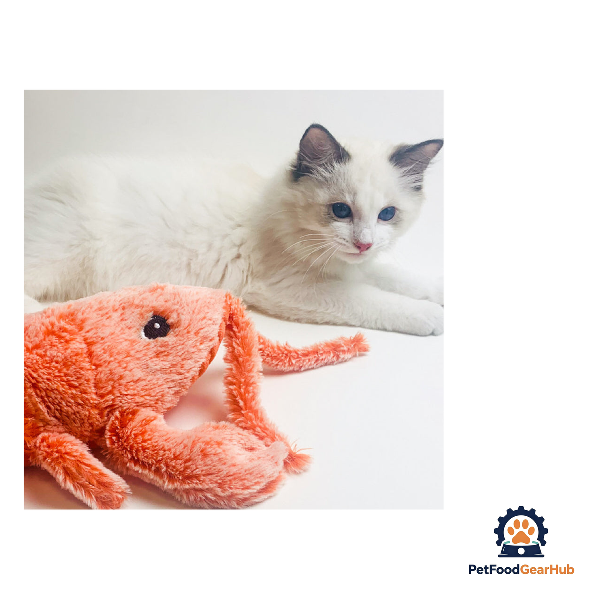 PetFoodGearHub Wagging Lobster Cat Plush Toy - product image 5