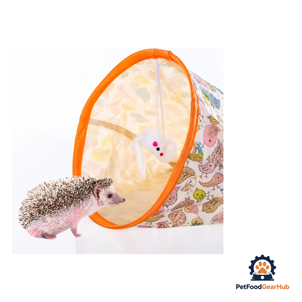 PetFoodGearHub Interactive Cat Tunnel with Balls and Peephole for Exercise and Play - product image 6