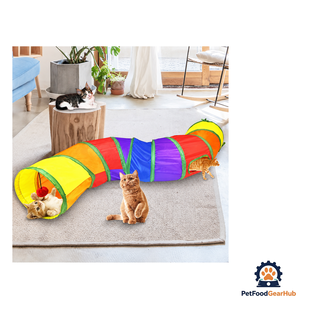 PetFoodGearHub Rainbow Cat Tunnel - product image 3