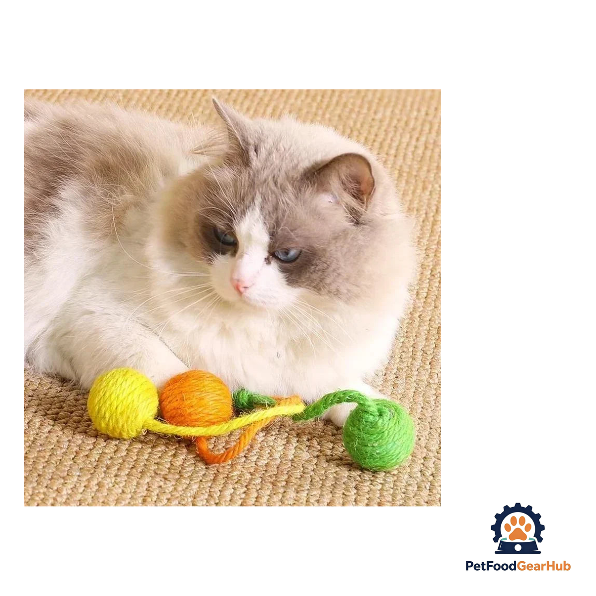 PetFoodGearHub Hanging Sisal Cat Toy with Bells - product image 4